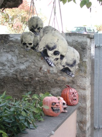 The skull collection